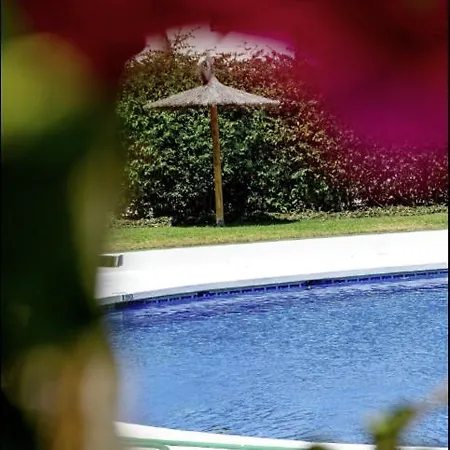 Hermoso Con Piscina A Metros Del Mar * Benalmadena